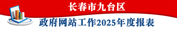 政府网站年度工作报表2025.jpg